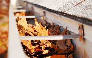 Quick gutter cleaning companies